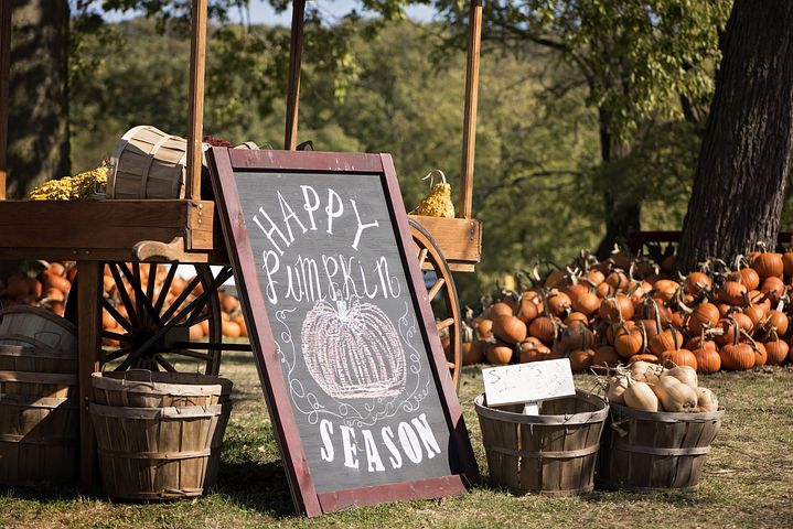 A sign board for pumpkin season